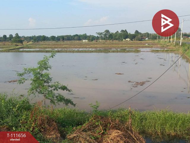 ขายที่ดิน เนื้อที่ 12 ไร่ 2 งาน 34.6 ตร.วา ฆะมัง พิจิตร