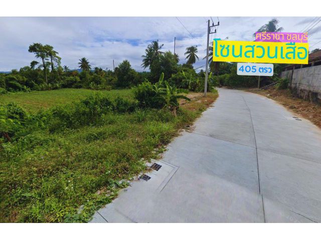 ขายที่ดินโซนสวนเสือ ศรีราชา จ.ชลบุรี พื้นที่ 405.7 ตารางวา