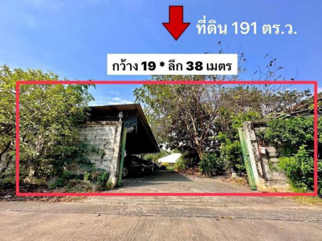 ด่วน ที่ดิน อ่อนนุช 14 แปลงสวย เหมาะปลูกบ้าน ออฟฟิศ ราคาพิเศษ ที่ดิน สุขุมวิท 77 เนื้อที่ 191 ตร.ว.