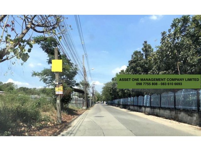 ขายที่ดิน 1 ไร่ ถนนติวานนท์ - ปากเกร็ด ซอย 56  นนทบุรี 098 7755 808