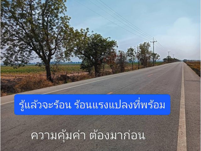 เข้าสู่ยุคของถูกโดยแท้จริง ไม่อยากให้เบื่อในเมื่อแปลงดีมีคุณสมบัติรออยู่ตรงหน้า กล้าๆหน่อยแล้วจะได้