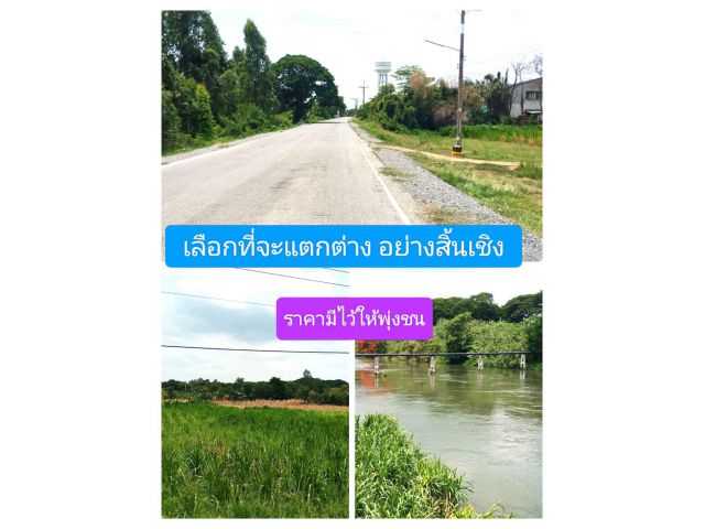 ตรงนี้คือแปลงปราถนา ให้ด่วน แต่กวนใจเล็กน้อยถึงปานกลาง เจริญหูเจริญตาพาให้ถูกใจ นี่งัยแปลงที่ถามหา