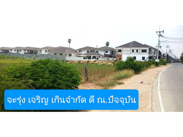 กับแปลงงามเมื่อยามต้องการ แปลงไม่ประหยัดความสวยความสวยงามจึงห้ามกันไม่อยู่แล้วจริงๆ ชอบเมื่อได้เห็น เป็นคำตอบสุดท้าย