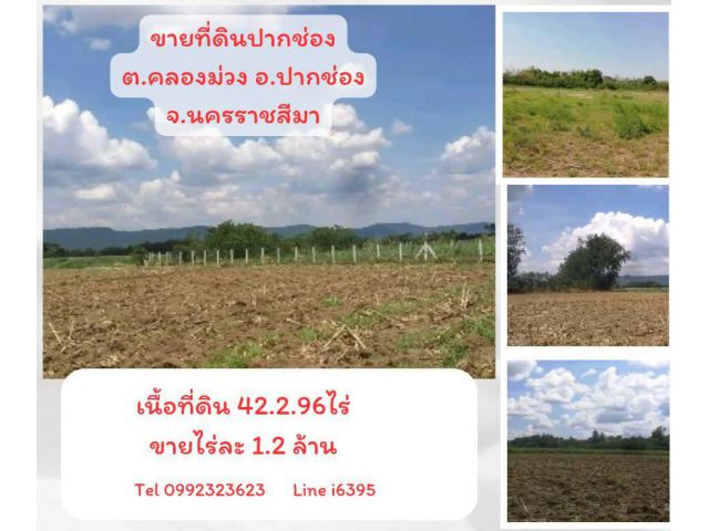 ขายที่ดินปากช่อง ไร่ละ 1.2ล้าน
