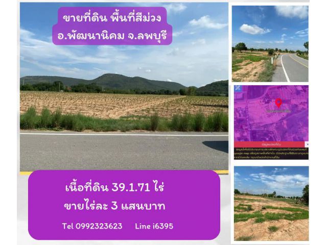 ขายที่ดินพื้นที่สีม่วง อ.พัฒนานิคม จ.ลพบุรี ไร่ละ 3 แสน