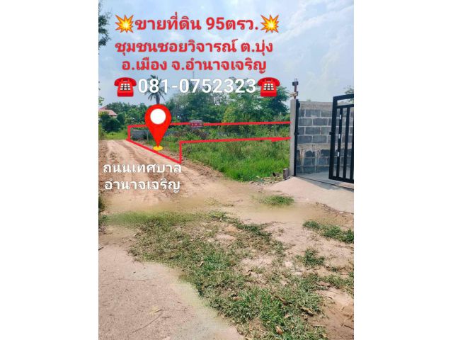 ที่ดินสร้างบ้านในเมืองอำนาจเจริญ 95 ตรว. ถม,ก่อกำแพงไว้แล้ว