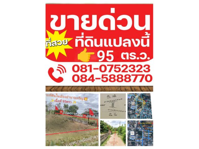 แปลงสวยๆ เหมาะสร้างบ้าน หอพัก บ้านเช่าในเมืองำอำนาจเจริญ