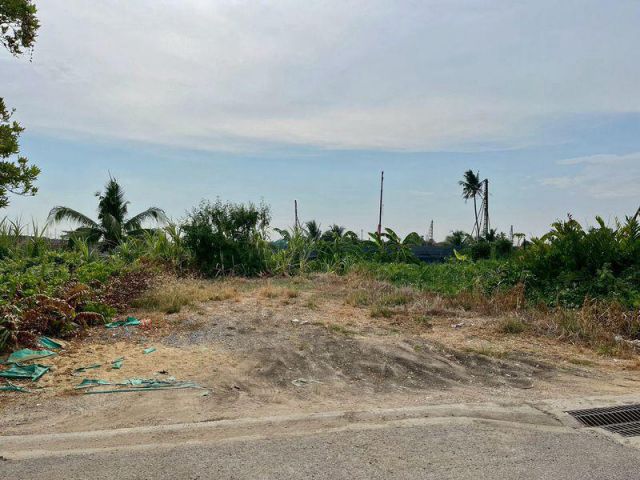 ขายที่ดินเปล่าซอยบางแวก 156 บางแค ภาษีเจริญ พุทธมณฑลสาย 2 ถมแล้ว เหมาะสร้างบ้าน mrtหลักสอง