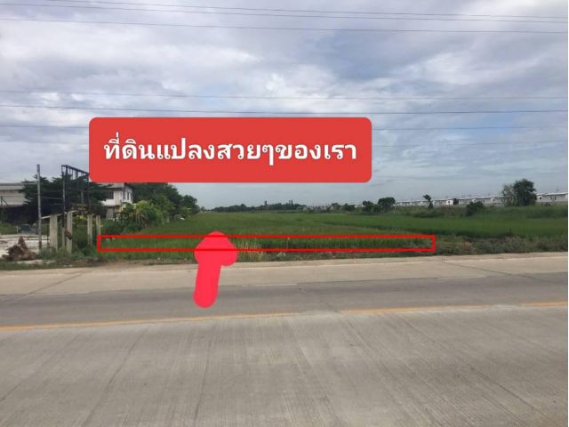 24-2-56 ไร่ คลอง 6 ลำลูกกา ปทุมธานี