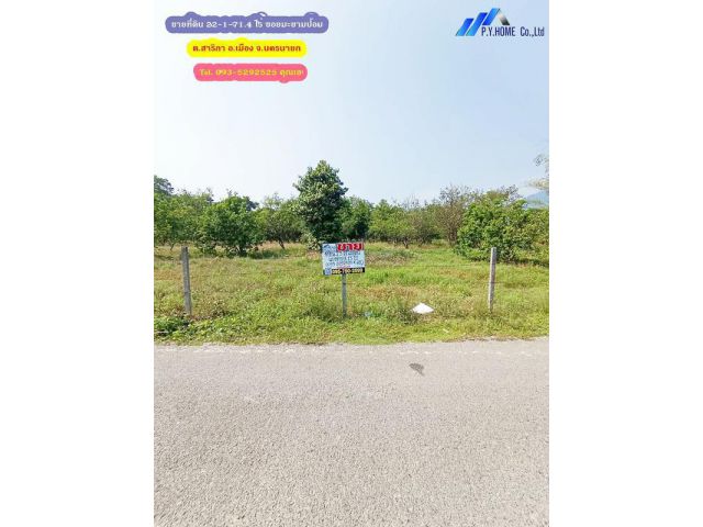 ขายที่ดิน 22-1-71.4 ไร่ ซอยมะขามป้อม ต.สาริกา อ.เมือง จ.นครนายก