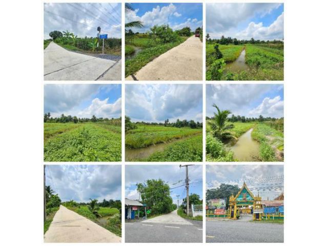ขายที่ดินเปล่า แปลงสวย ซอยโรงช้อน หนองเสือ ปทุมธานี