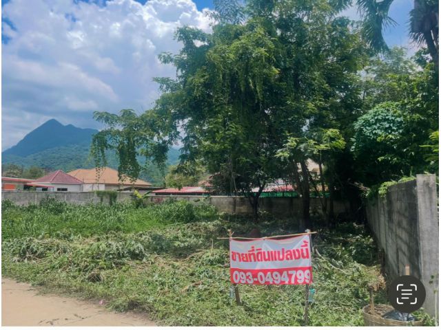 ขายที่ดินตัวเมืองแม่สาย