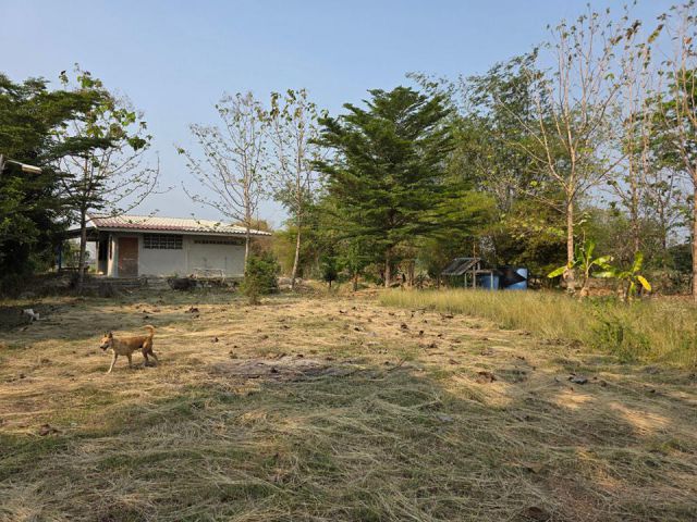 ขายด่วน️   บ้านสวนพร้อมที่ดิน เนื้อที่ 4ไร่ 2งาน 54ตรว. น้ำไฟพร้อม มีเพื่อนบ้าน