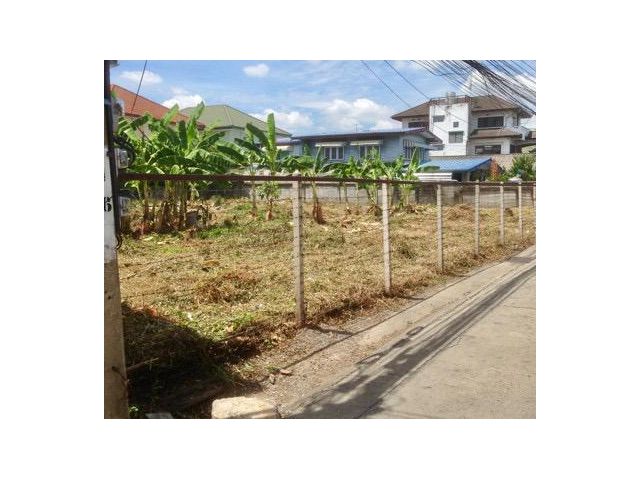 ขายที่ดิน202ตร.วาถมแล้ว ดอนเมือง ต้นซอยสรงประภา ด้านยาวติดถนนคอนกรีต นำ้ไม่ท่วมใกล้รถไฟฟ้าสีแดง