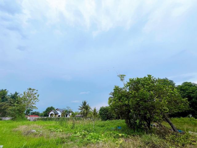 ที่ดินเขตชุมชน  บ้านร้องขี้เหล็ก 1 ไร่ 52 ตร.ว ต.เชิงดอย อ.ดอยสะเก็ด จ.เชียงใหม่