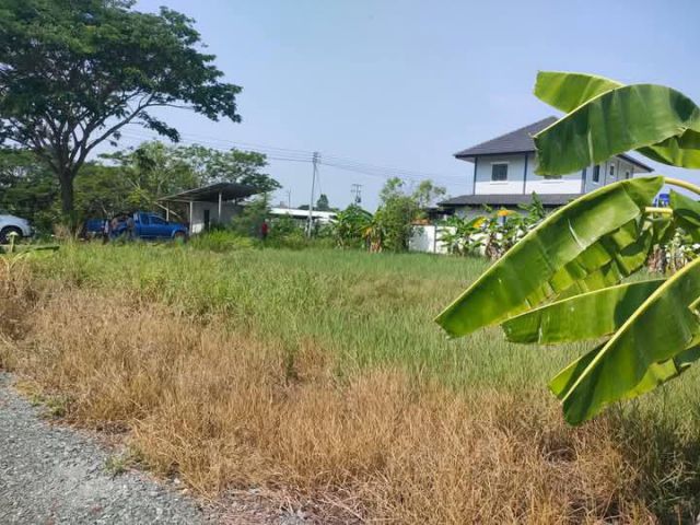 ขายที่ดินตำบลป่าลานดอยสะเก็ตใกล้โรงพยาบาลดอยสะเก็ตพร้อมโอน