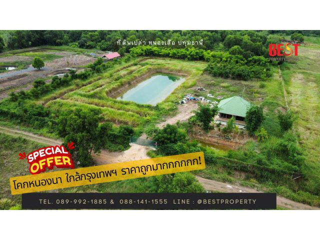 ขายที่ดินเปล่า ราคาถูกที่สุดในย่านหนองเสือ ปทุมธานี พร้อม สระน้ำ โคกหนองนา สวยๆ ใกล้ กรุงเทพฯ