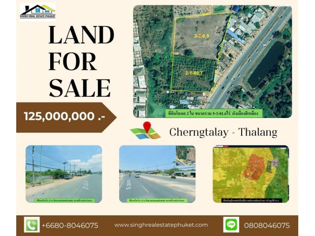 ** LAND FOR SALE ** ที่ดินเปล่า 5-3-81.6 ไร่ ( ติดถนน 4030 - บ้านดอนจอมเฒ่า )