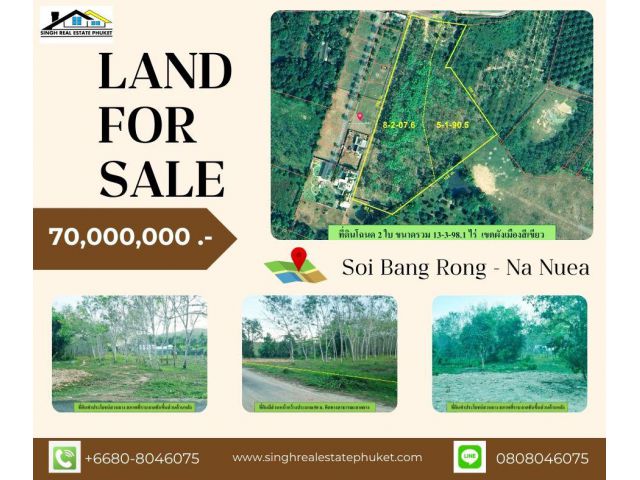 ** LAND FOR SALE ** ที่ดินเปล่า 13-3-98.1 ไร่ ( ซอยบางโรง - นาเหนือ )