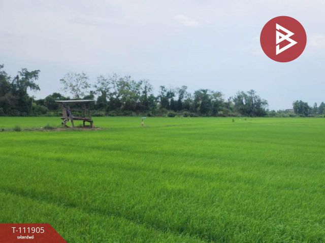 ขายที่ดิน เนื้อที่ 10 ไร่ บางระกำ พิษณุโลก