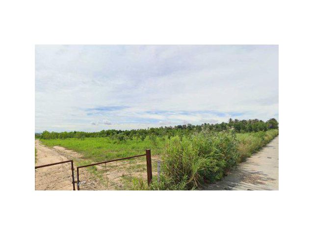 ขายที่ดิน 64 ไร่ ถนนชุมชนหนองหว้าซอย 3 ต.บึง อ.ศรีราชา จ.ชลบุรี
