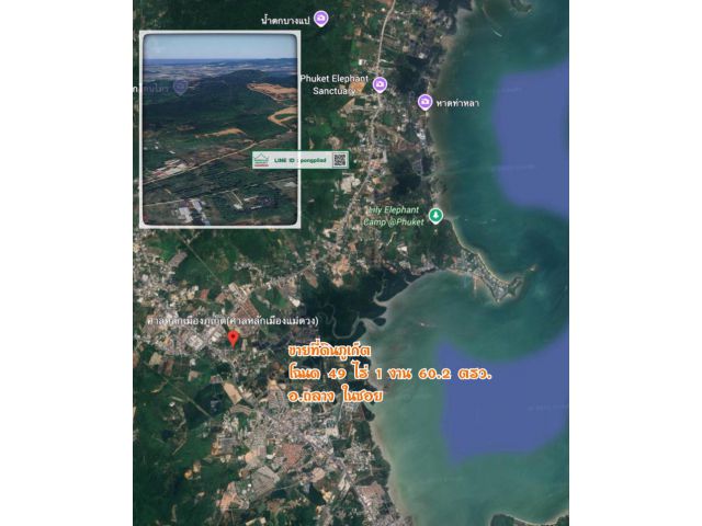 ขายที่ดินภูเก็ต ไร่ 4.16 ล้าน โฉนด 49 ไร่ 1 งาน 60.2 ตรว. ในซอย อ.ถลาง