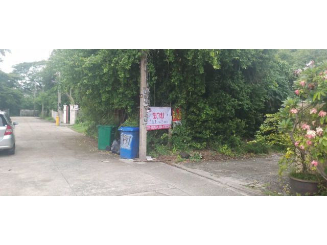 ขายที่ดินเปล่าใกล้ตลาดเซฟวัน