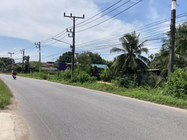 ขายที่ดินคูเต่า137ตรว.ติดถนนหลักคลองแห-คูเต่า