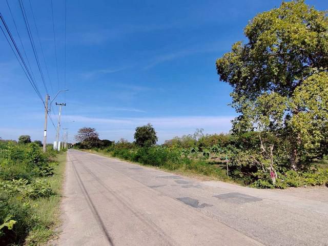 ขายด่วน ที่ดินสวนผัก 4-0-38 ไร่  ใจกลางเมืองนครราชสีมา