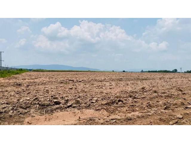 ขายที่ดินหนองไผ่แก้ว บ้านบึง ชลบุรี