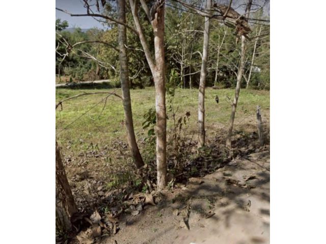 ขายที่ดินบ้านสหกรณ์แม่ออนใกล้น้ำพุร้อนสันกำแพงพร้อมโอน