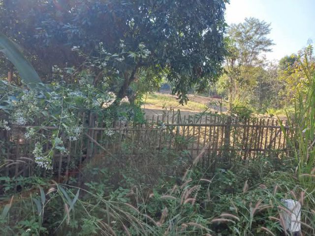 ขายที่ดินตำบลน้ำแพร่หางดงเนินสูงน้ำไฟพร้อมโอน