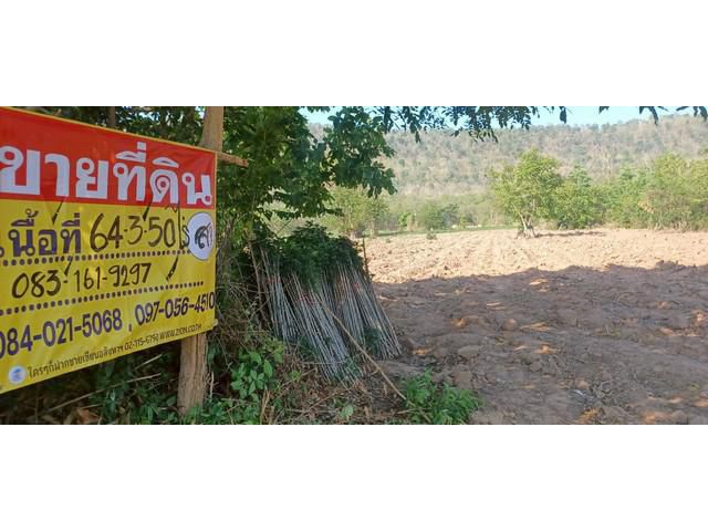 ขายที่ดิน ราคาถูก  64-3-50 ไร่  บ้านน้อย  วัดโบสถ์ จ.พิษณุโลก