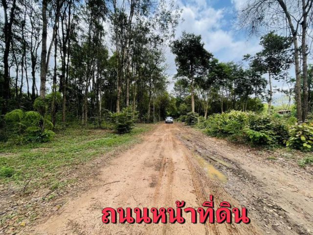 ขายที่ดินท่าช้าง  อ.สว่างวีระวงศ์  จ.อุบลฯ