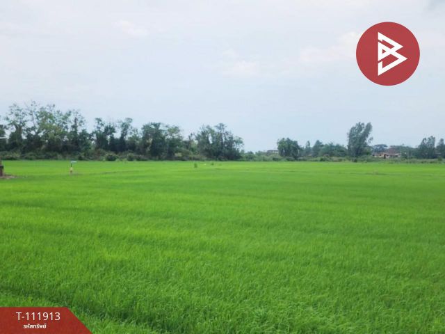 ขายที่ดิน เนื้อที่ 10 ไร่ บางระกำ พิษณุโลก