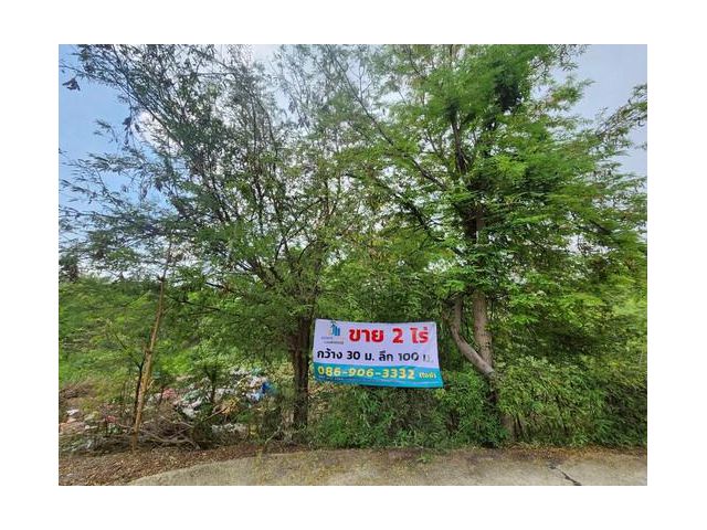 ขายที่ดินเปล่า 2ไร่ พิกัดซอยข้างแขวงการทางสุพรรณบุรี สามแยกอู่ยา ถนนมาลัยแมน อ.เมือง สุพรรณบุรี