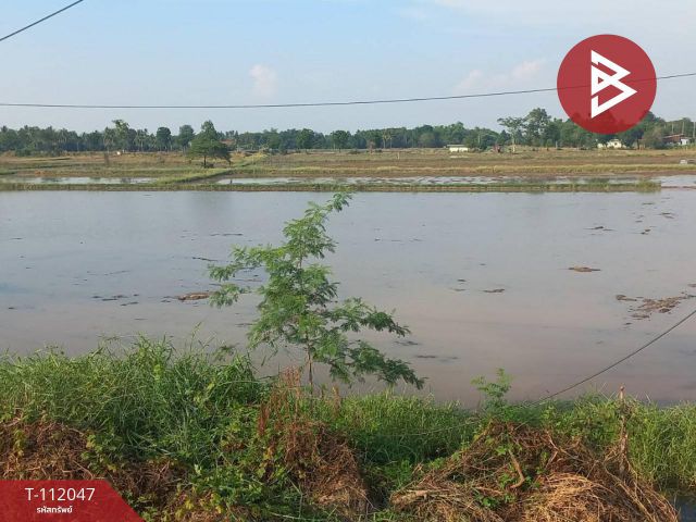 ขายที่ดิน เนื้อที่ 4 ไร่ ฆะมัง พิจิตร