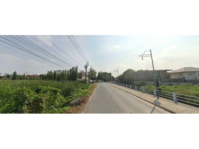 ขาย ที่ดิน โซนชัยพฤกษ์ แปลงสวย เหมาะสำหรับทำโครงการหมู่บ้าน ใกล้โรบินสัน เนื้อที่ 5 ไร่