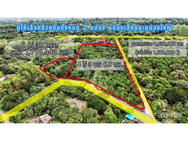 ขายสวนผลไม้ใกล้วัดมณีวงศ์ นครนายก ติดถนนลาดยาง มีให้เลือก 2 แปลง