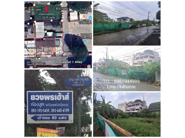 ขายที่ดิน 100 ตรว งามวงศ์วาน 43 แยก 2-9  ซอยชินเขต1/29 ใกล้ เดอะมอลล์ งามวงศ์วาน ม.เกษตร ม.ธุรกิจบัณฑิตย์ 0961944999