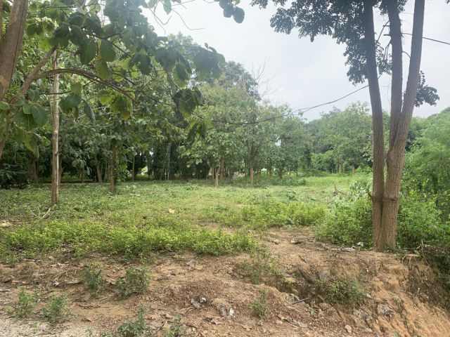 ขายที่ดิน 21 ไร่ ติดแม่น้ำแควน้อยยาว 170 เมตร หนองหญ้า เมืองกาญจนบุรี