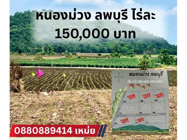 ที่ดิน หนองม่วง ลพบุรี ไร่ละ แสนห้า
