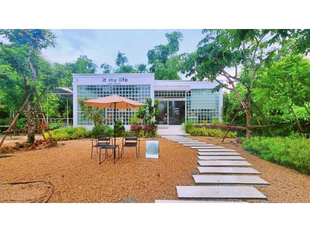 ขายที่ดินพร้อมกิจการ "It My Life Cafe x Camp" ติดห้วยท่าไทร บรรยากาศธรรมชาติกลางบางพระ ศรีราชา จ.ชลบุรี
