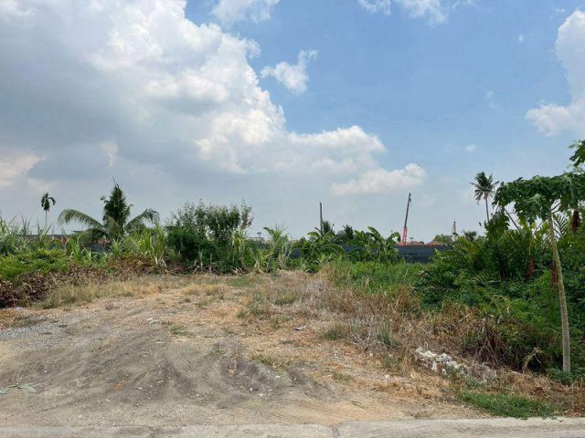 ขายที่ดินเปล่าซอยบางแวก 156 บางแค ภาษีเจริญ พุทธมณฑลสาย 2 ถมแล้ว เหมาะสร้างบ้าน mrtหลักสอง