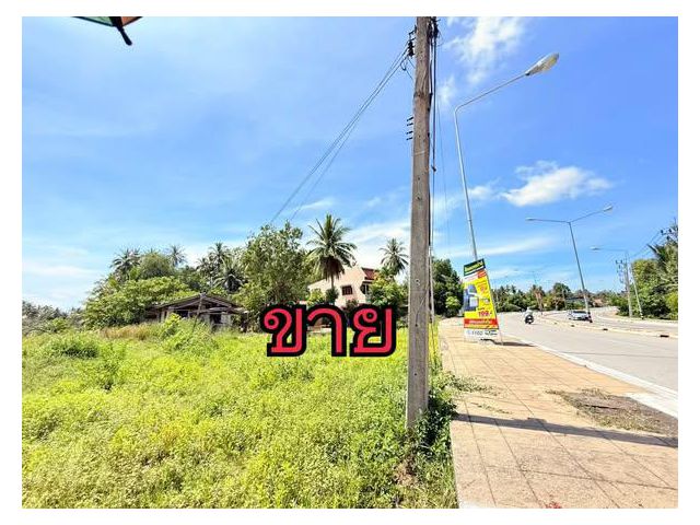 ขาย:ที่ดิน สวย ทำเลทอง โอกาสดี ทำเลทอง ที่ดินติดถนนใหญ่