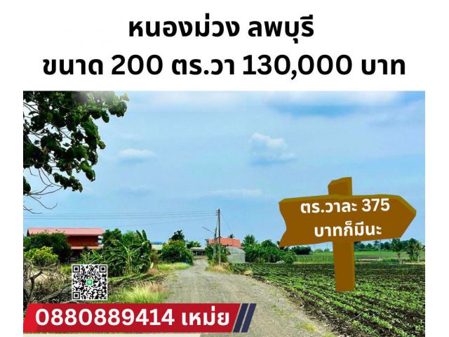 ที่ดิน หนองม่วง ลพบุรี วิวเขา ขนาด 200 ตรวา