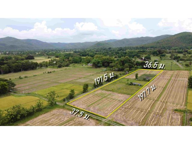 ที่นา 4-1-64.3 ไร่ น้ำไฟฟ้าพร้อม ถูกที่สุดในสันกำแพง ร้อนเงิน