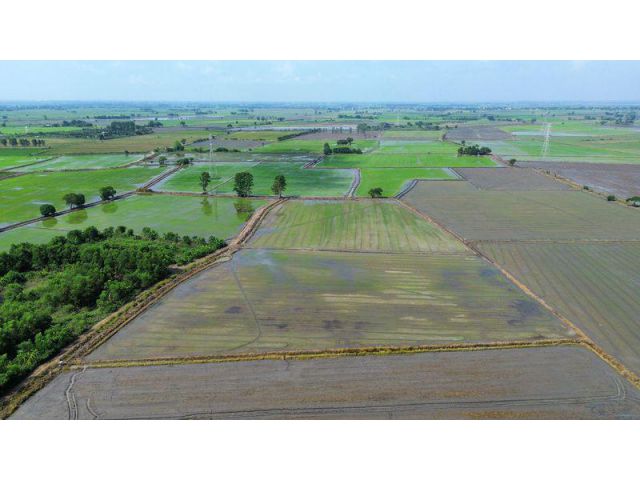 ขายที่ดิน 9-2-32 ไร่ ตำบลดอนทอง อำเภอหนองโดน จังหวัดสระบุรี