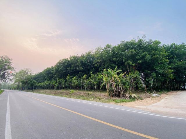 ขายที่ดินสวนยาง
