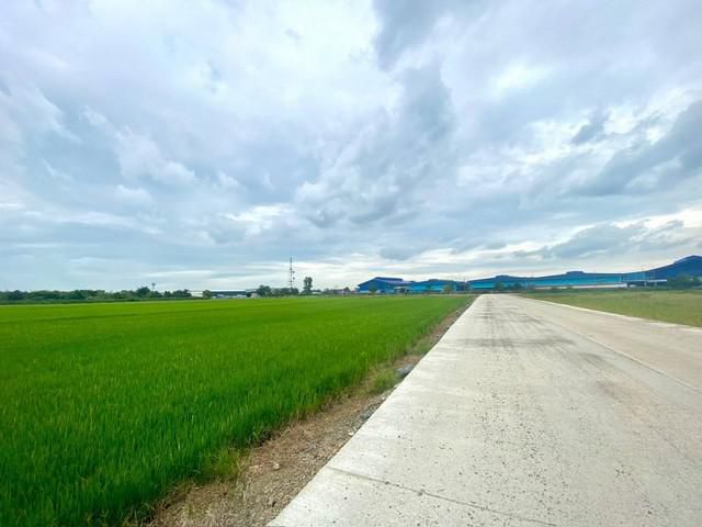 ขายที่ดิน 15-20 ไร่ หน้ากว้าง ผังม่วง  อ.เมือง ฉะเชิงเทรา เขตEEC เหมาะสร้างโรงงาน